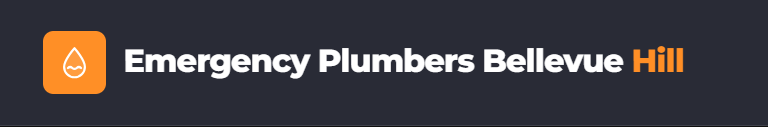 Emergency Plumbers Bellevue Hill